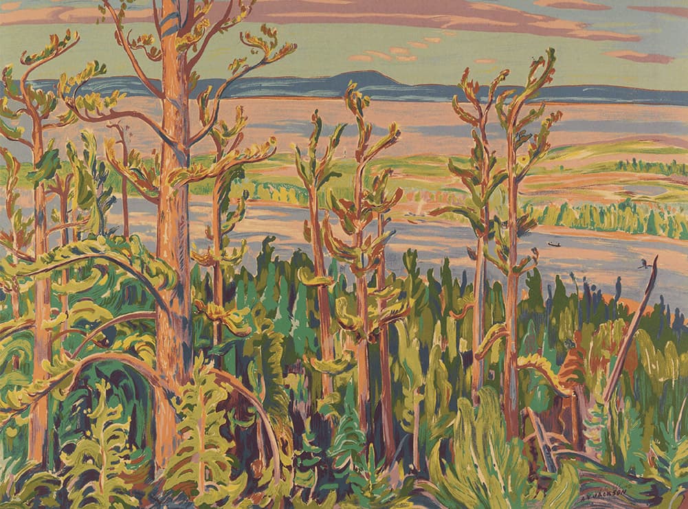 Jack Pine (1950) — Sampson-Matthews oil silkscreen by ay jackson